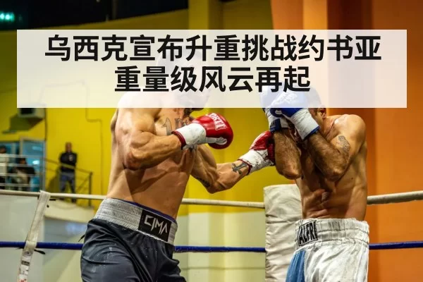 heavyweight boxing match